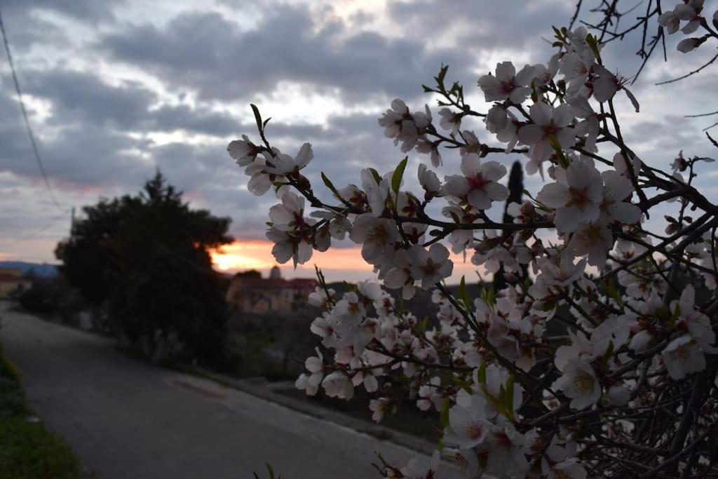 Apartmán O Palaios Fournos Tou Andrea Kardhakáta Exteriér fotografie